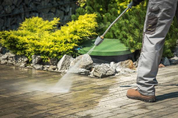 Best Parking Lot Cleaning in Corning, AR